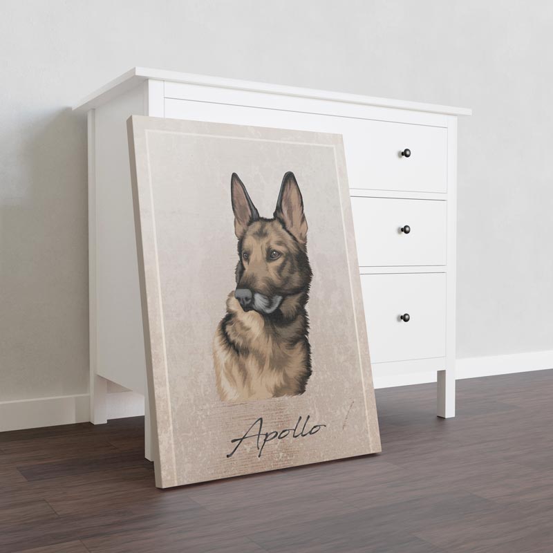 Canvas